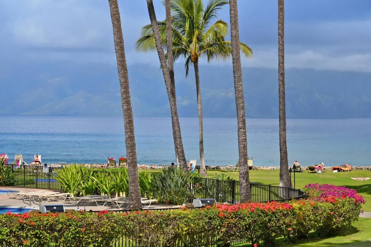 Papakea Oceanview Studio Condo Lahaina Apartamento